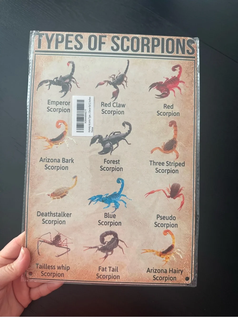 WUERD Types of Scorpions Metal Sign 8x12 Vintage Wall Decor Tin Plaque New